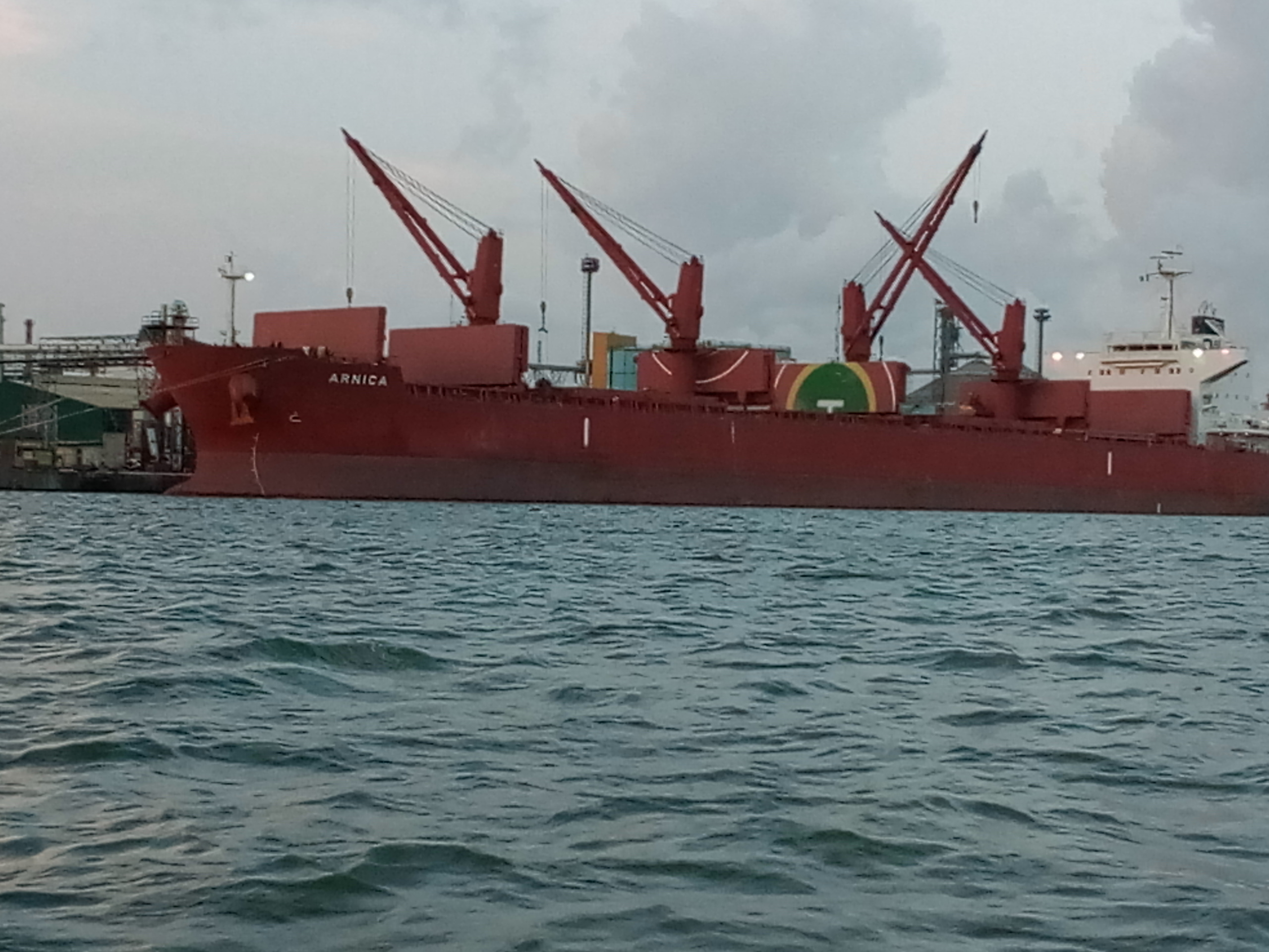Destination inspection, PAAR, and port friction move document and delivery discipline ahead of quotation